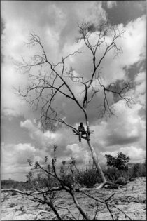 Le rêve de São Paulo