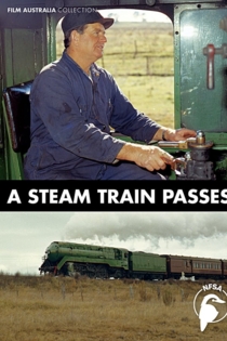 A Steam Train Passes