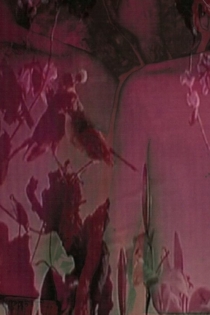 Los Ángeles Patrullan