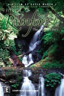 Rainforest: The Secret Of Life