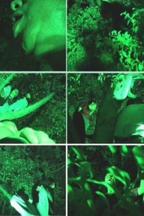 Chicken Speak to Duck, Pig Speak to Dog