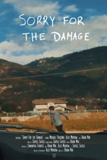 Sorry For the Damage