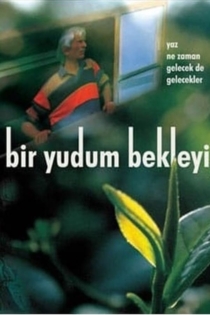 Bir Yudum Bekleyiş