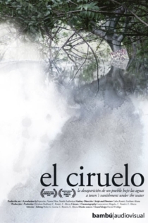 El Ciruelo