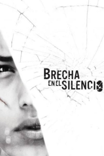 Brecha en el Silencio