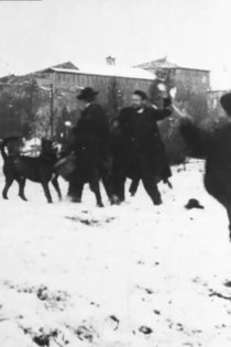 Battaglia di palle di neve