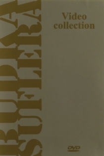 Budka Suflera: Video Collection