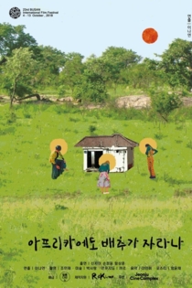 아프리카에도 배추가 자라나?