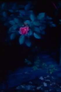 Ein Schlauchboot und Austern