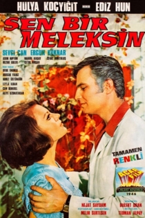 Sen Bir Meleksin