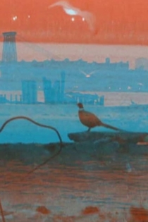 Eastern District Terminal