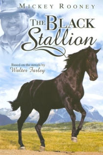 Adventures of the Black Stallion