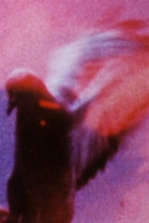 Long Eyes of the Earth