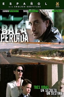 Bala perdida