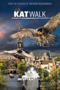 Katwalk