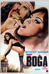 Kara boga