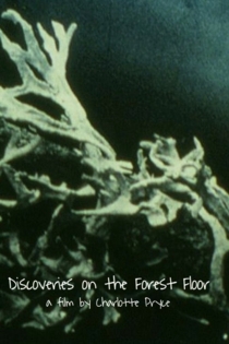 Discoveries on the Forest Floor 1-3