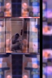 Waiting for the Eclipse