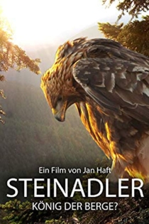 Steinadler - König der Berge