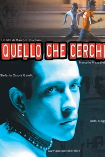 Quello che cerchi