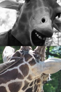 Tales of a Future Past