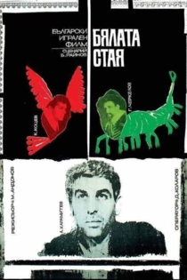 Бялата стая