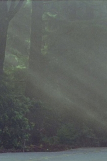 California Picture Book