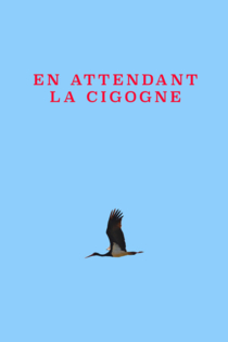 En attendant la cigogne