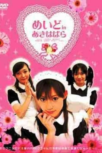 Горничная в Акихабаре