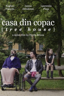 Casa din copac