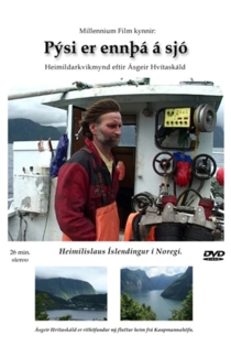 Pýsi er ennþá á sjó