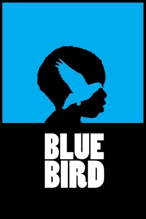 Blue Bird