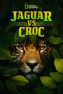 Jaguars vs. Crocs