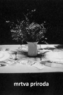 Mrtva priroda