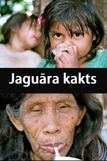 Jaguāra kakts