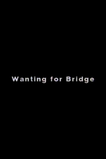 Wanting for Bridge