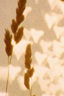 sin título (agosto)