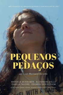 Pequenos Pedaços