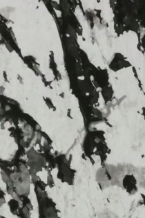 Cómo olvidar un terror que se ha vuelto permanente