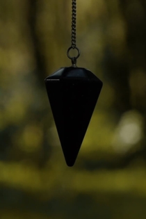 Circulación en la corteza