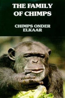 Chimps Onder Elkaar