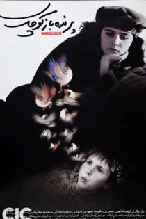 پرنده‌باز کوچک