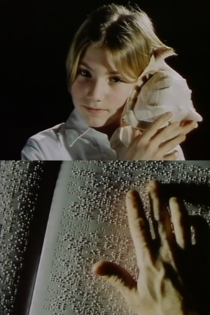 Le Singe de la lumière