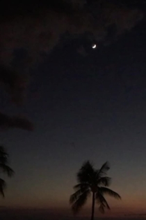 MEMORY IX Utopos/Dystopos