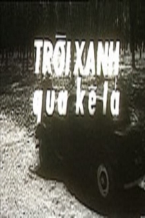 Ván bài lật ngửa 5: Trời xanh qua kẽ lá