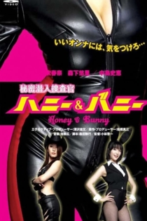 Himitsu sennyû sôsakan Honey & Bunny