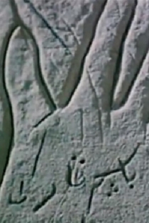 Тайна раскрытой ладони