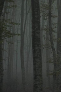 Refuge II: The Ice Path