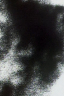 Friends Along the Way