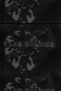 Flor Cosmica